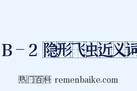 B-2隐形飞虫近义词是什么意思的图片